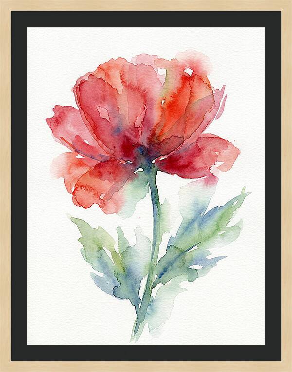 Red Poppy Blossom
