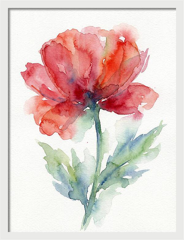 Red Poppy Blossom