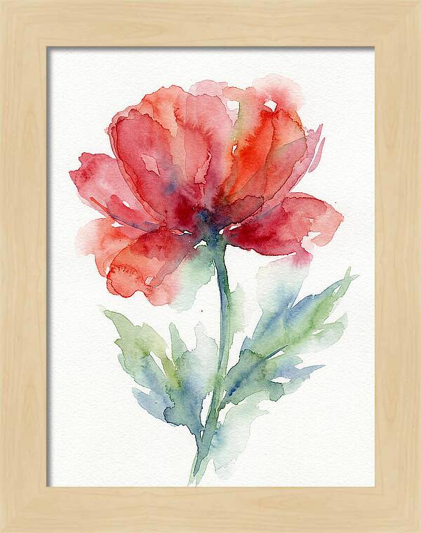 Red Poppy Blossom