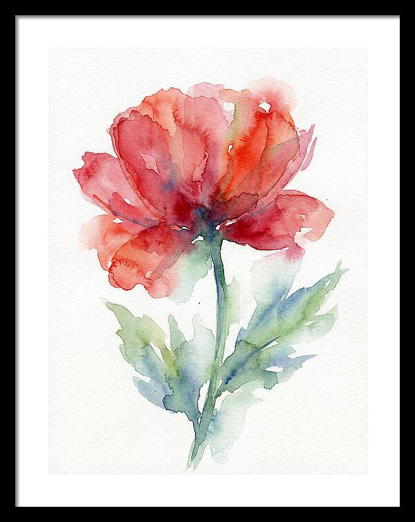 Red Poppy Blossom