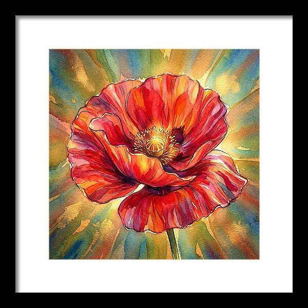 Red Poppy