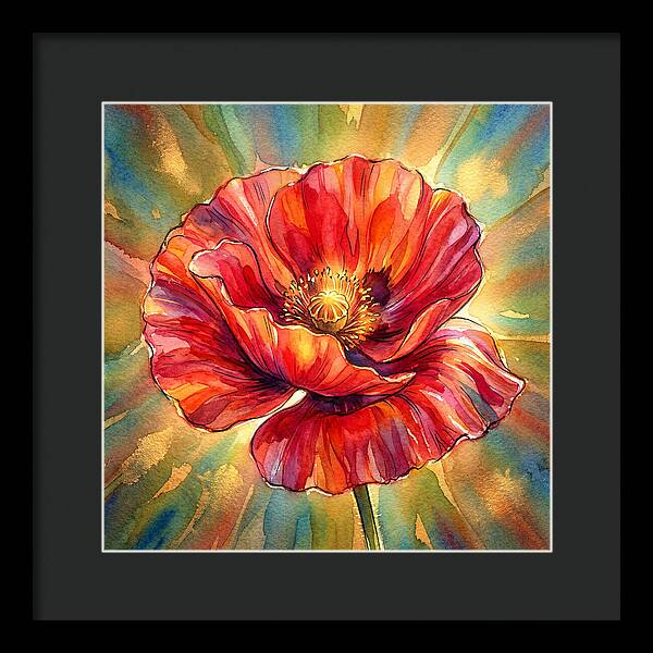 Red Poppy