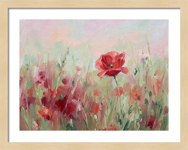 Red Poppy Field In Bloom