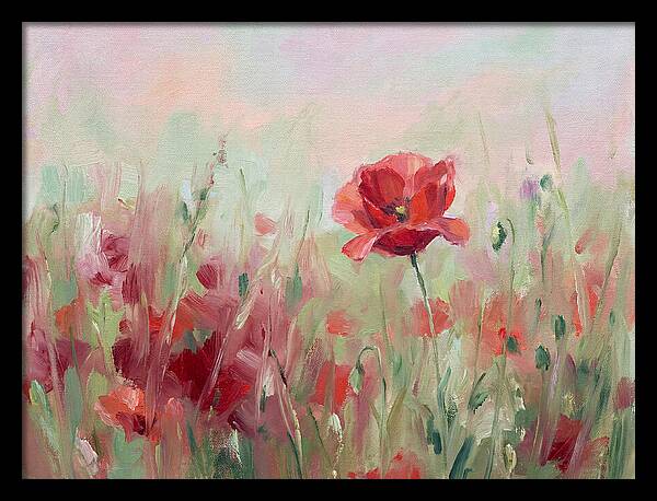 Red Poppy Field In Bloom