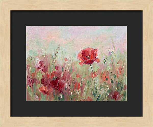 Red Poppy Field In Bloom