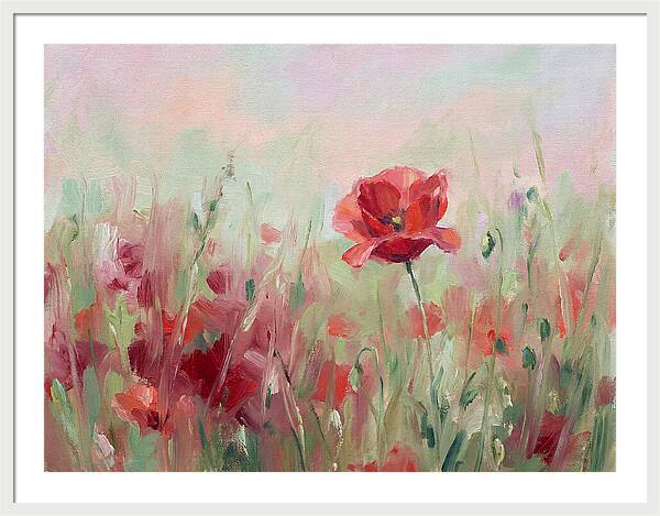 Red Poppy Field In Bloom