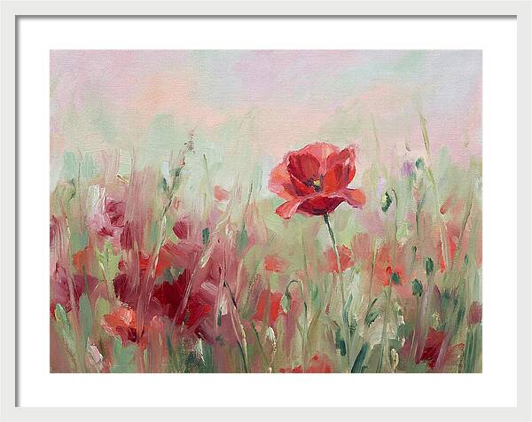 Red Poppy Field In Bloom