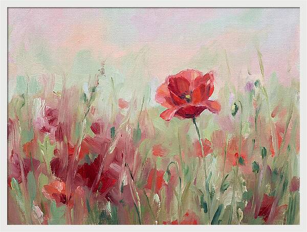 Red Poppy Field In Bloom