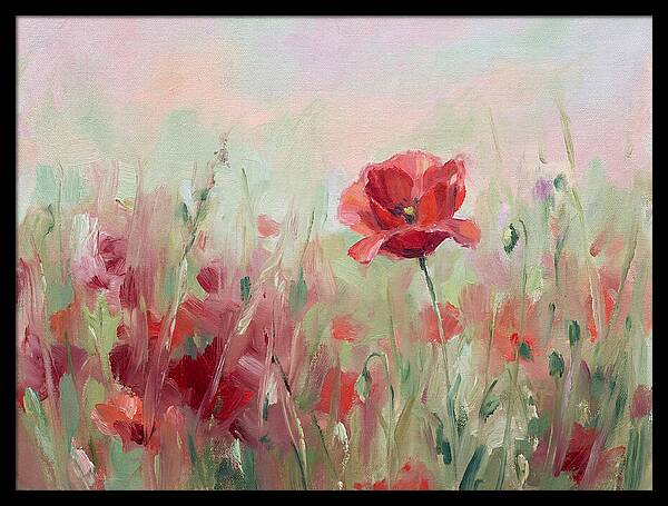 Red Poppy Field In Bloom
