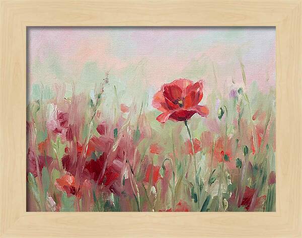 Red Poppy Field In Bloom