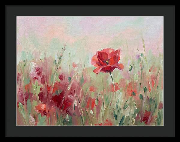 Red Poppy Field In Bloom