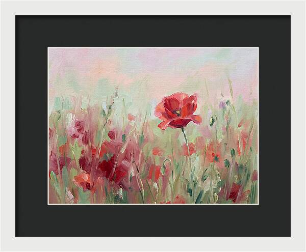 Red Poppy Field In Bloom
