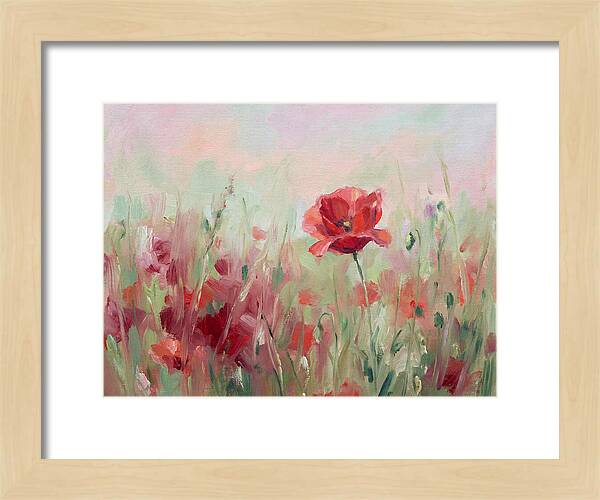 Red Poppy Field In Bloom