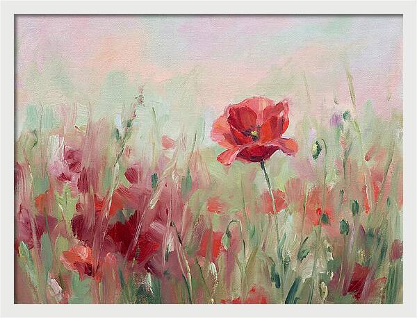 Red Poppy Field In Bloom