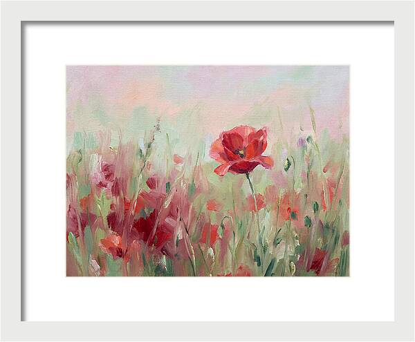 Red Poppy Field In Bloom