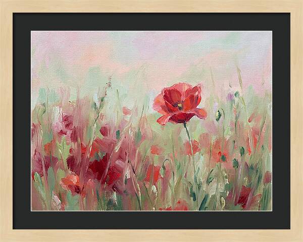 Red Poppy Field In Bloom