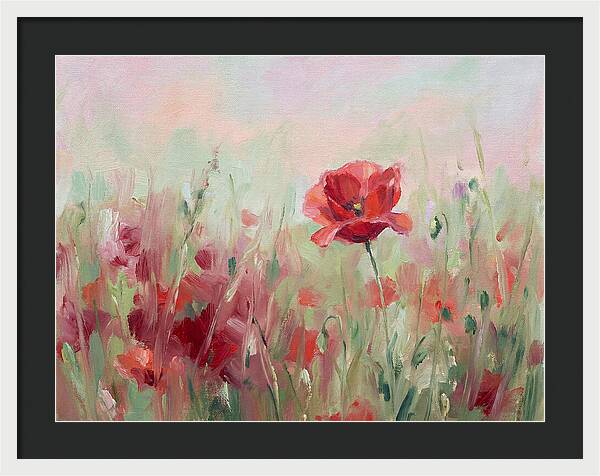 Red Poppy Field In Bloom