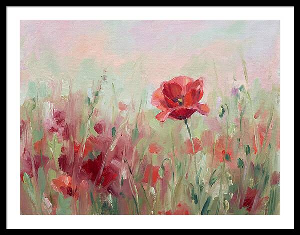 Red Poppy Field In Bloom