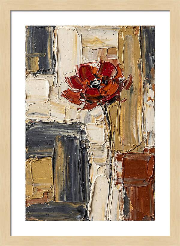 Red Poppy In Bold Colors