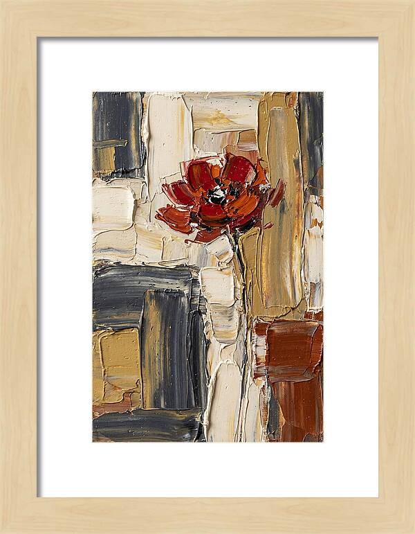 Red Poppy In Bold Colors