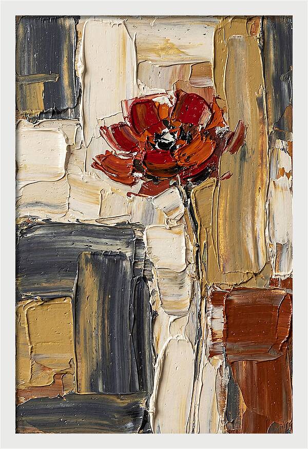 Red Poppy In Bold Colors