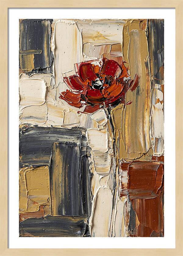 Red Poppy In Bold Colors