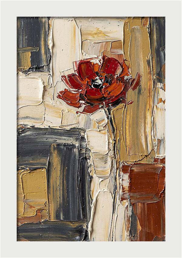 Red Poppy In Bold Colors