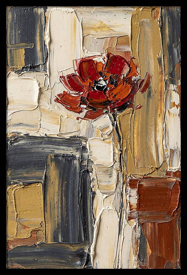 Red Poppy In Bold Colors