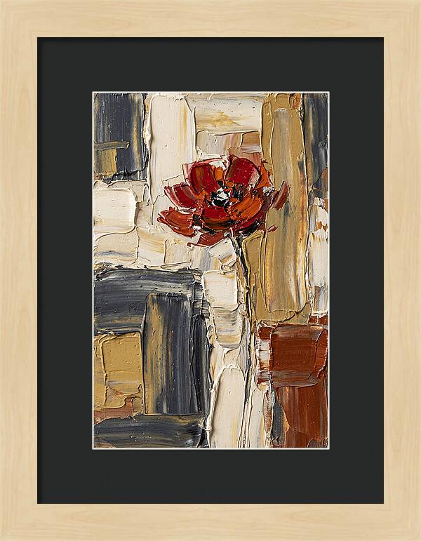 Red Poppy In Bold Colors
