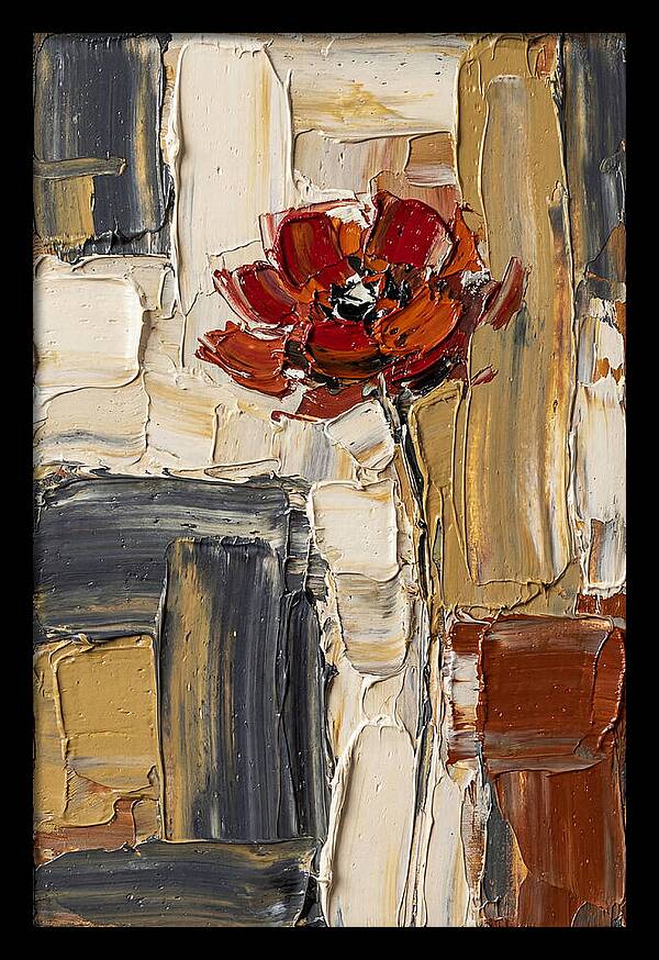 Red Poppy In Bold Colors