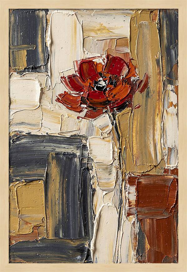 Red Poppy In Bold Colors