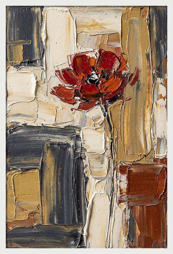 Red Poppy In Bold Colors