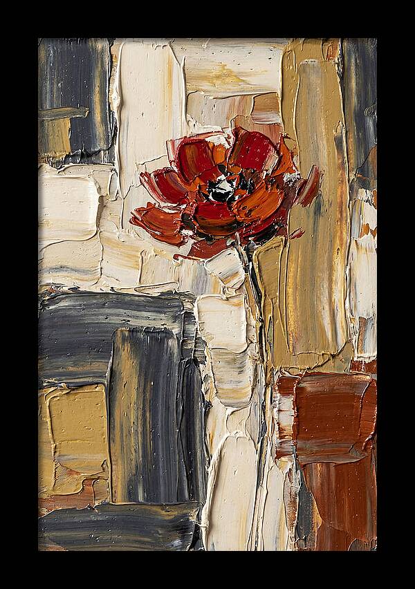 Red Poppy In Bold Colors