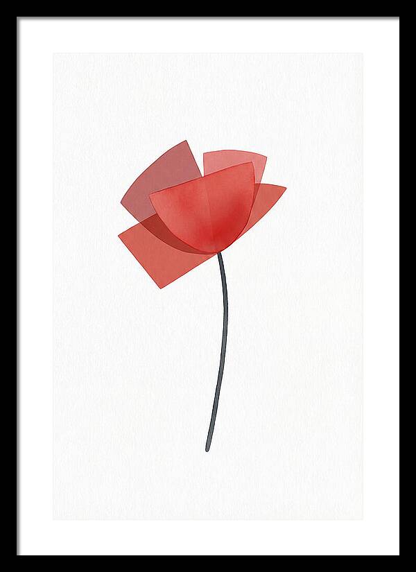 Red Poppy Minimalism