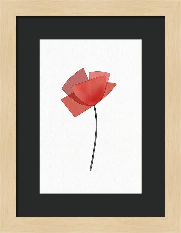 Red Poppy Minimalism