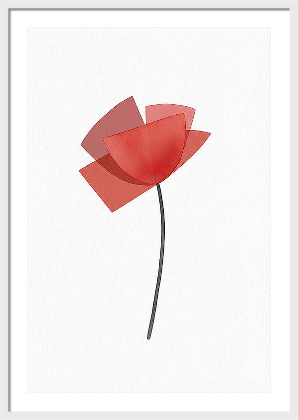 Red Poppy Minimalism