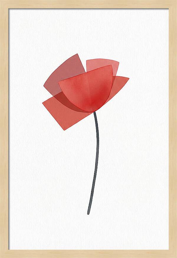 Red Poppy Minimalism