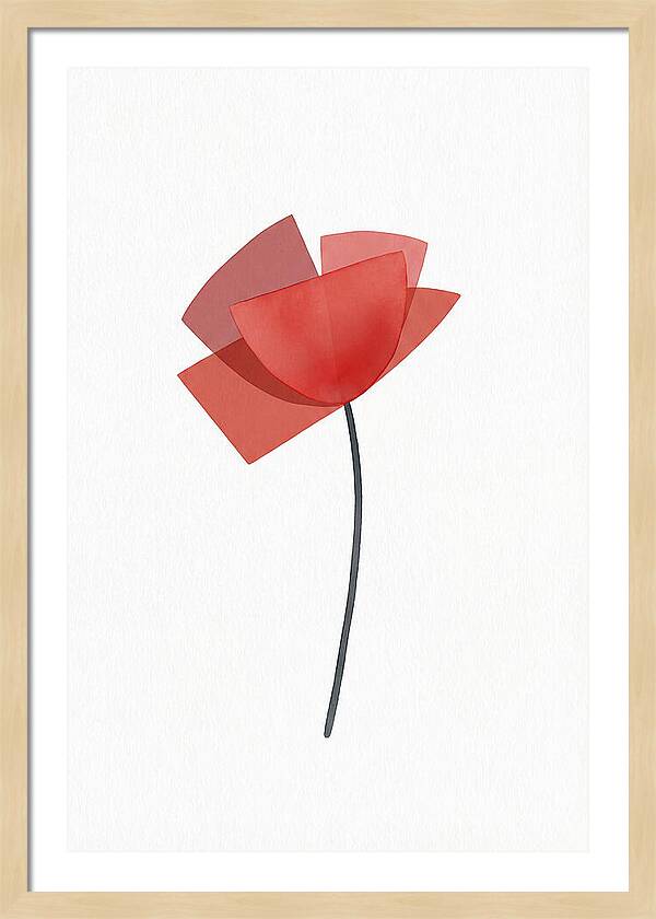 Red Poppy Minimalism