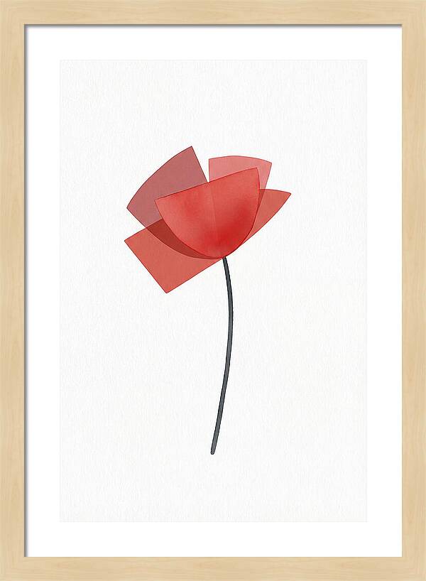 Red Poppy Minimalism