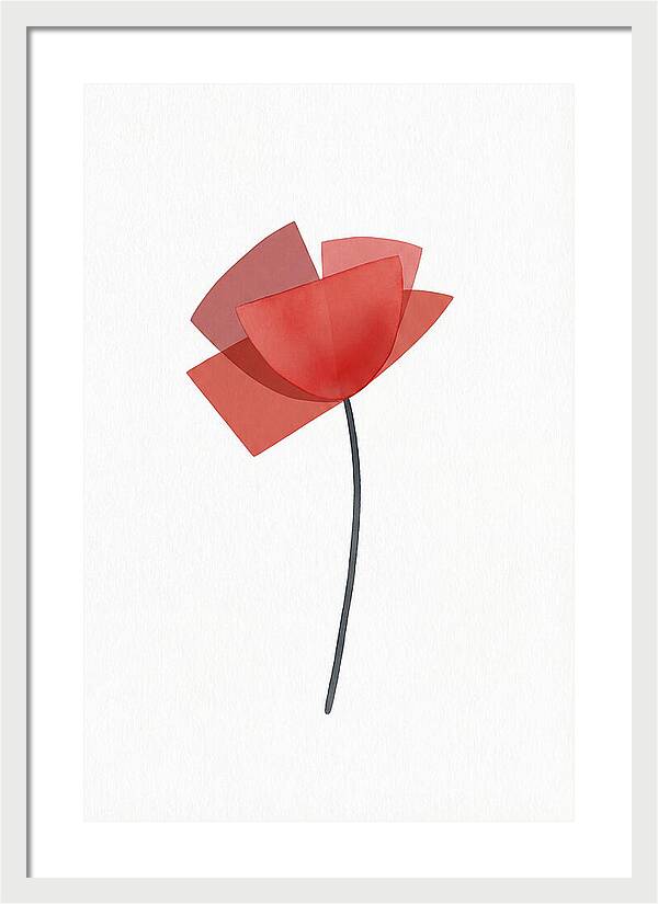 Red Poppy Minimalism
