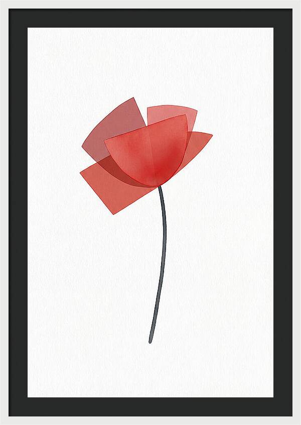 Red Poppy Minimalism