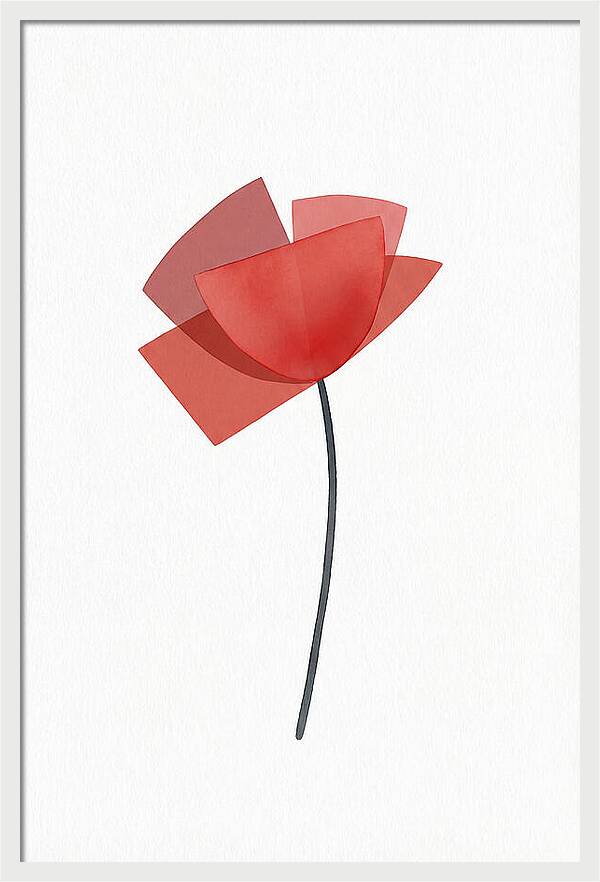 Red Poppy Minimalism