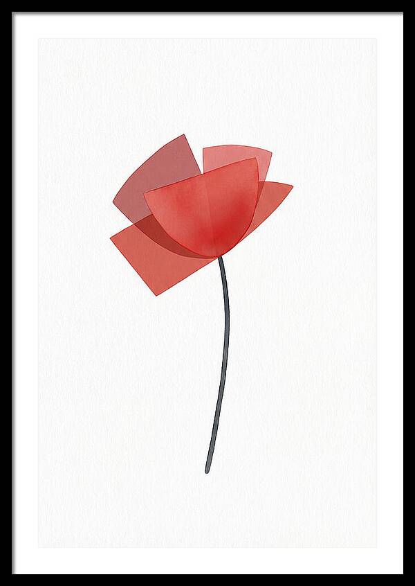 Red Poppy Minimalism