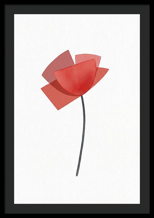 Red Poppy Minimalism
