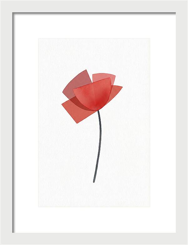 Red Poppy Minimalism