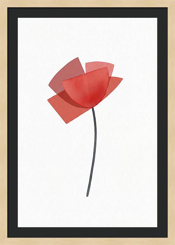 Red Poppy Minimalism