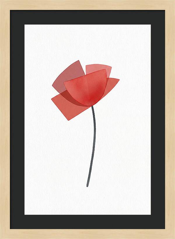 Red Poppy Minimalism