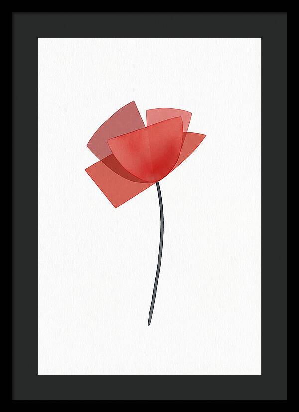 Red Poppy Minimalism