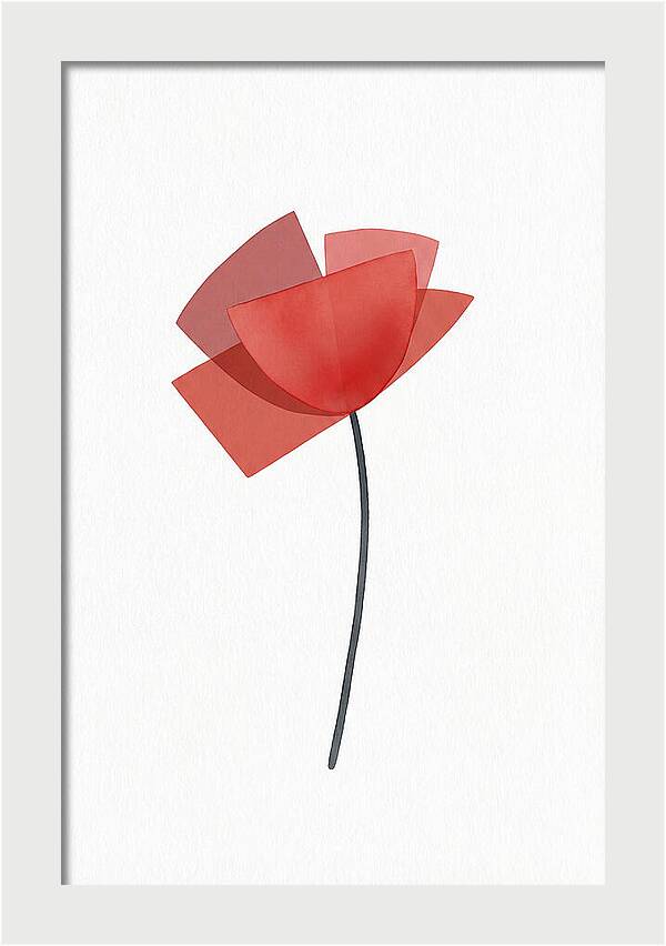 Red Poppy Minimalism