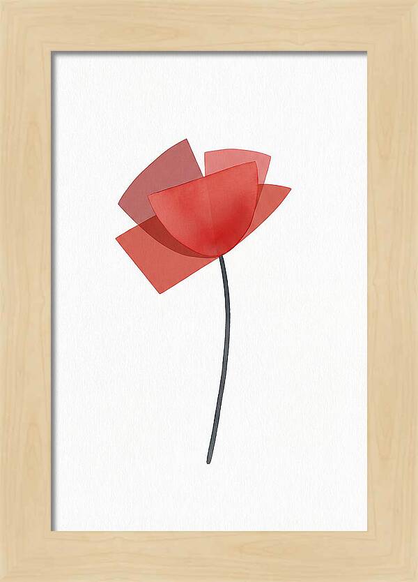 Red Poppy Minimalism